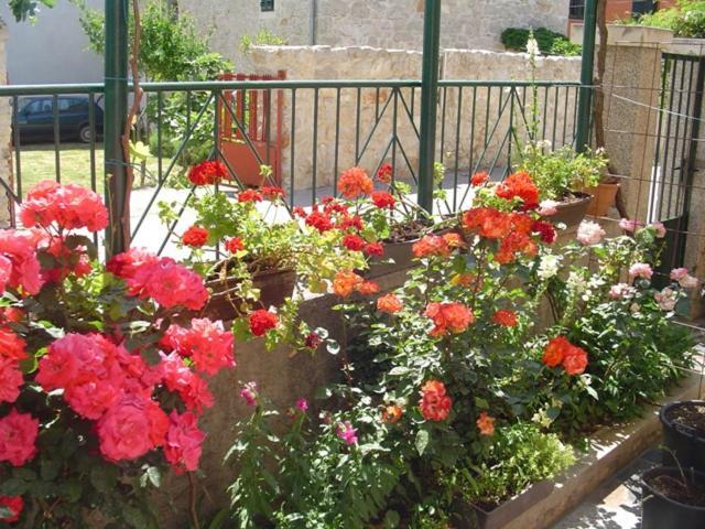 פאקוסטאן Apartments Ana&Neso מראה חיצוני תמונה